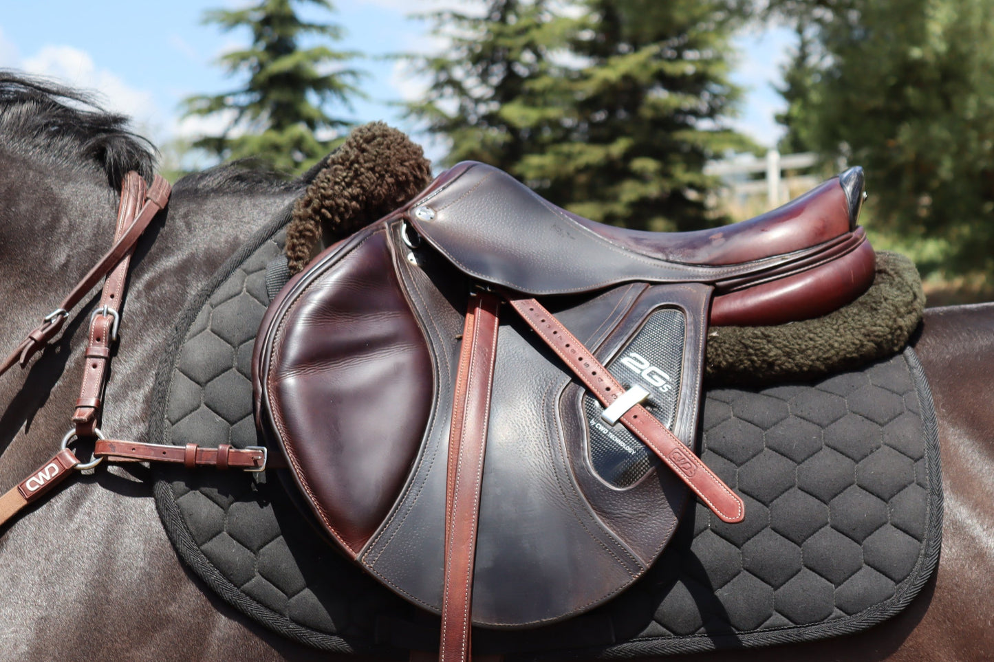 CWD 2GS (used)