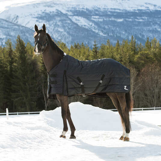 Stable Rug 400g
