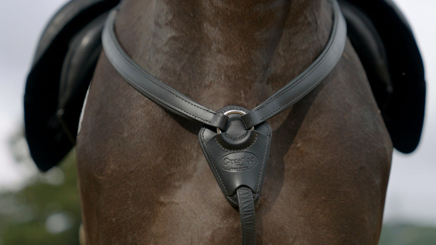 Prestige Italia Martingale