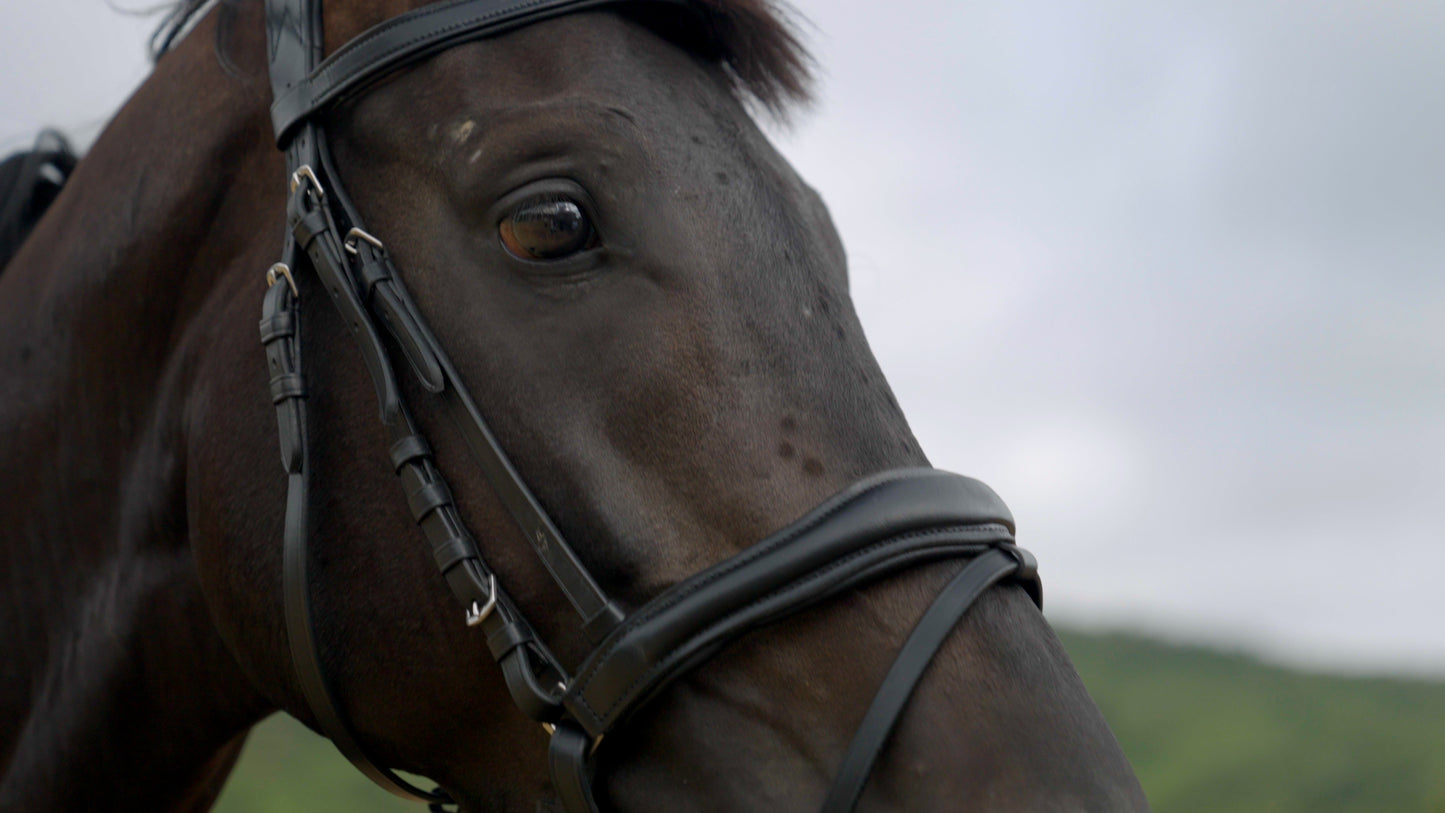 Anatomic leather bridle