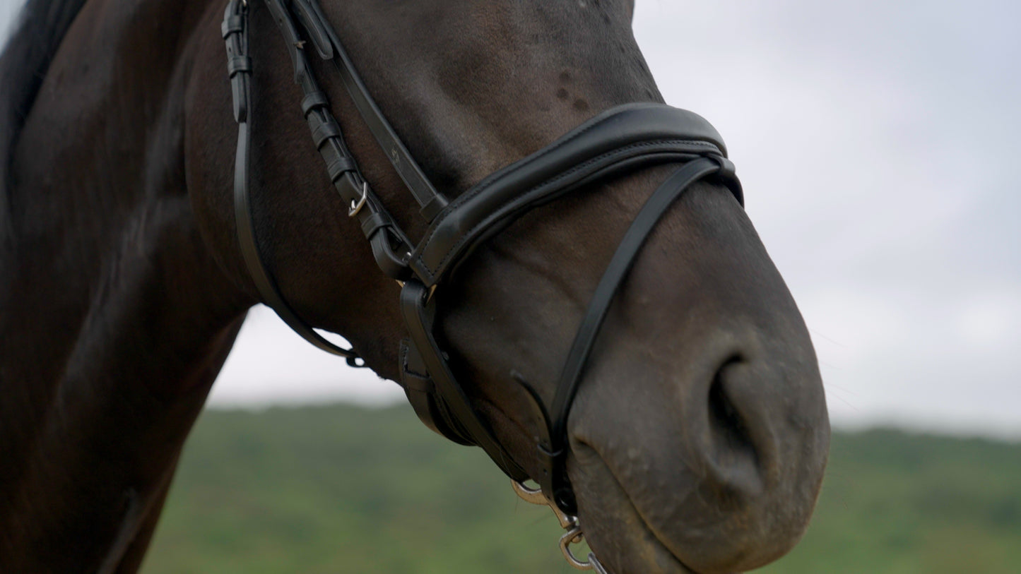 Anatomic leather bridle