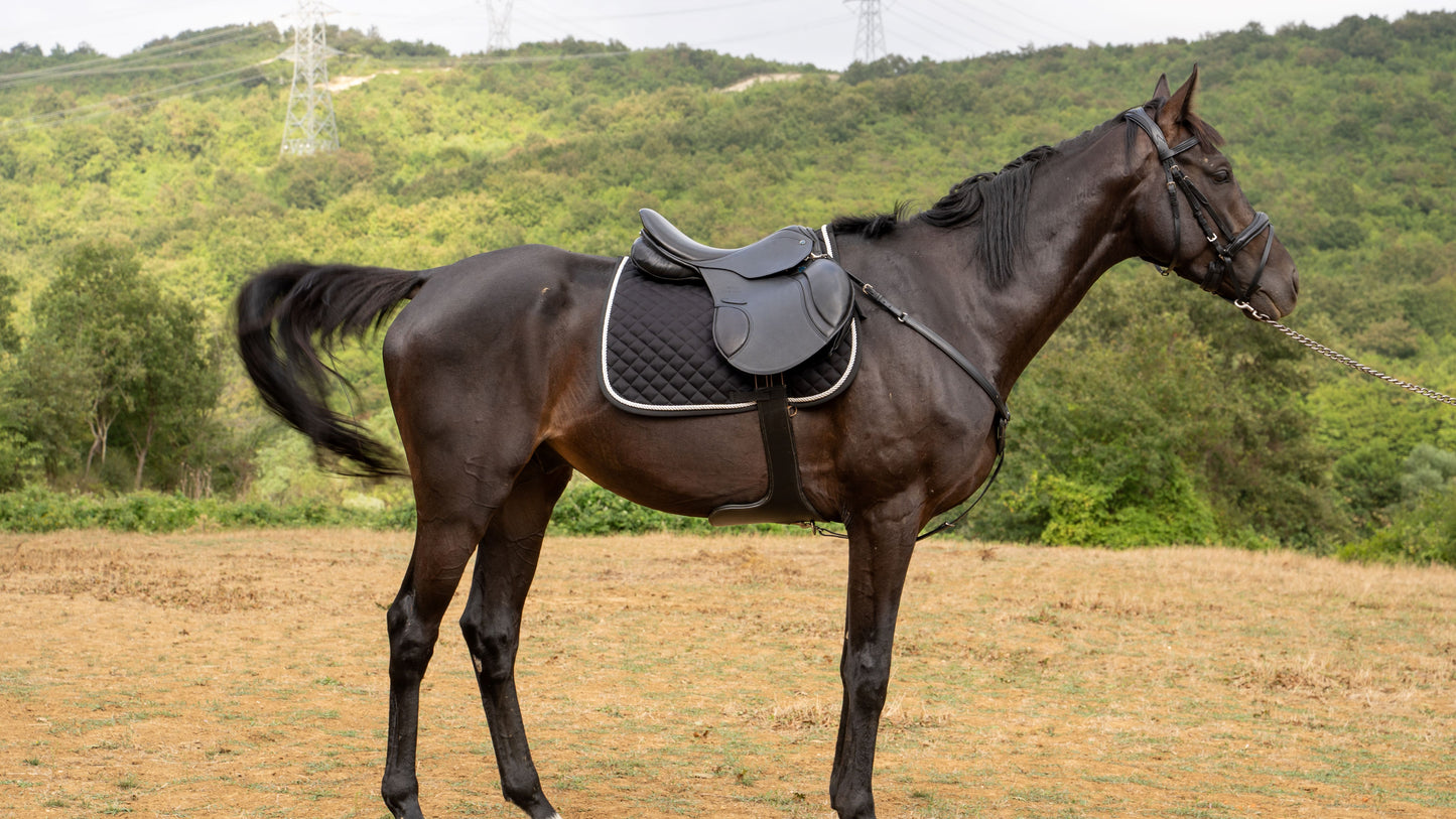 (Stübben S Roxane) Saddle