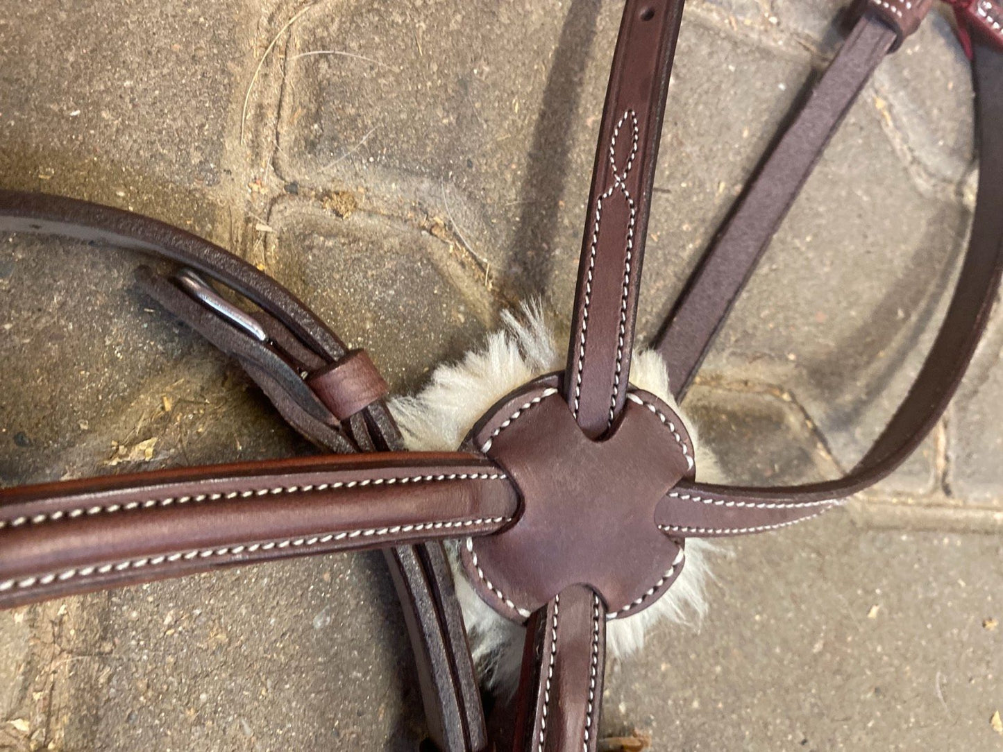 CWD Bridle