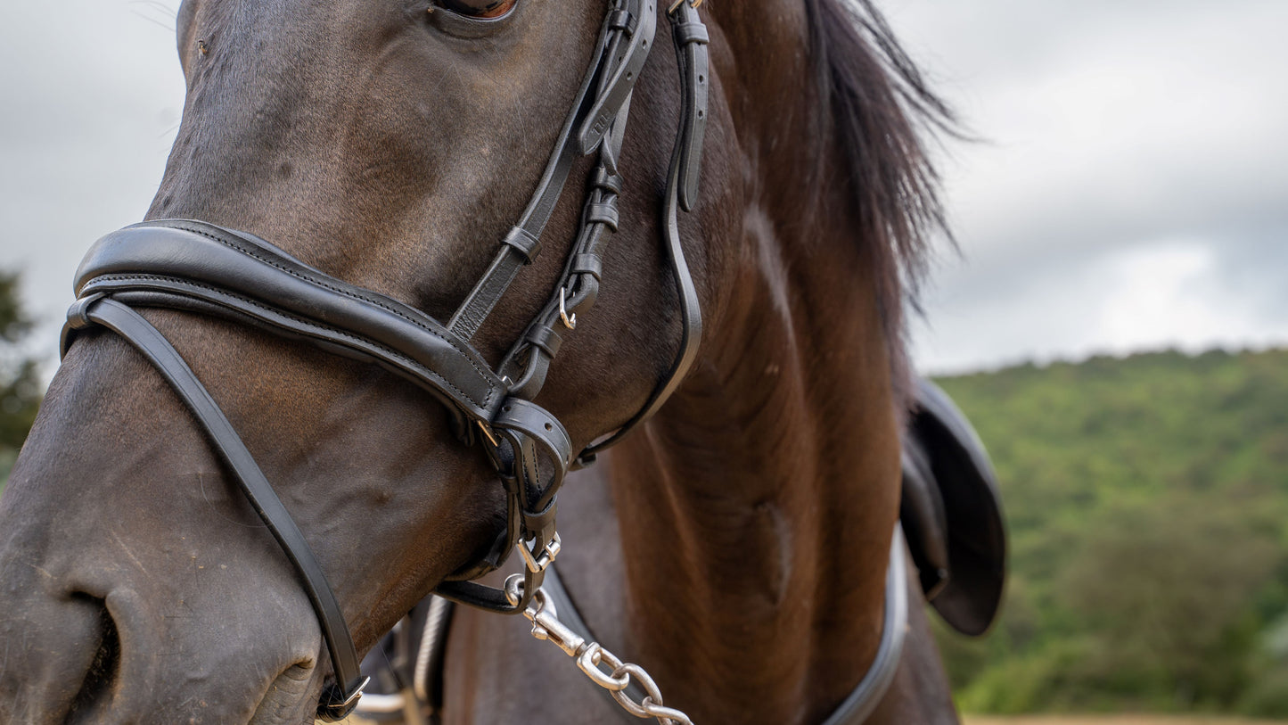 Anatomic leather bridle