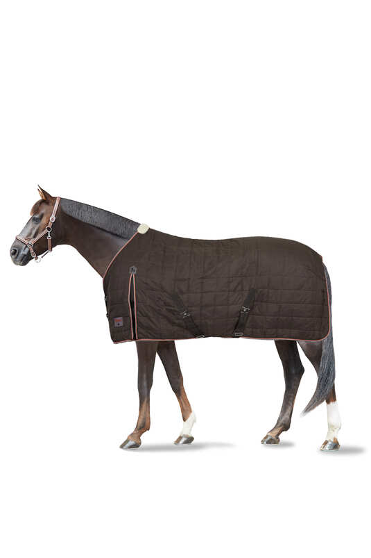 Stable Rug