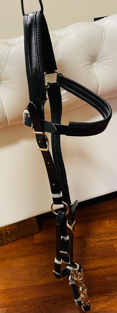 Set : Bridle + Reins + martingale