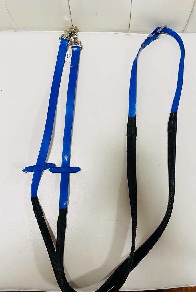 Set : Blue Bridle + Reins + martingale