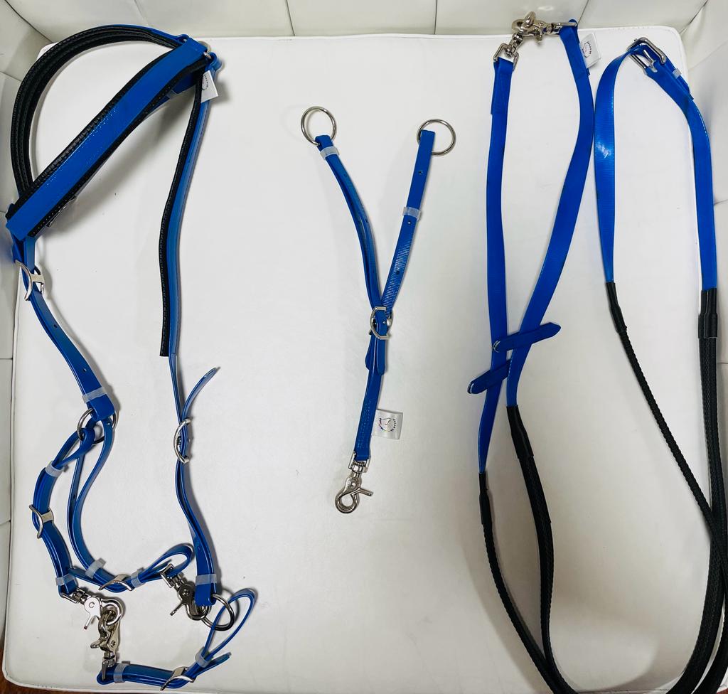 Set : Blue Bridle + Reins + martingale