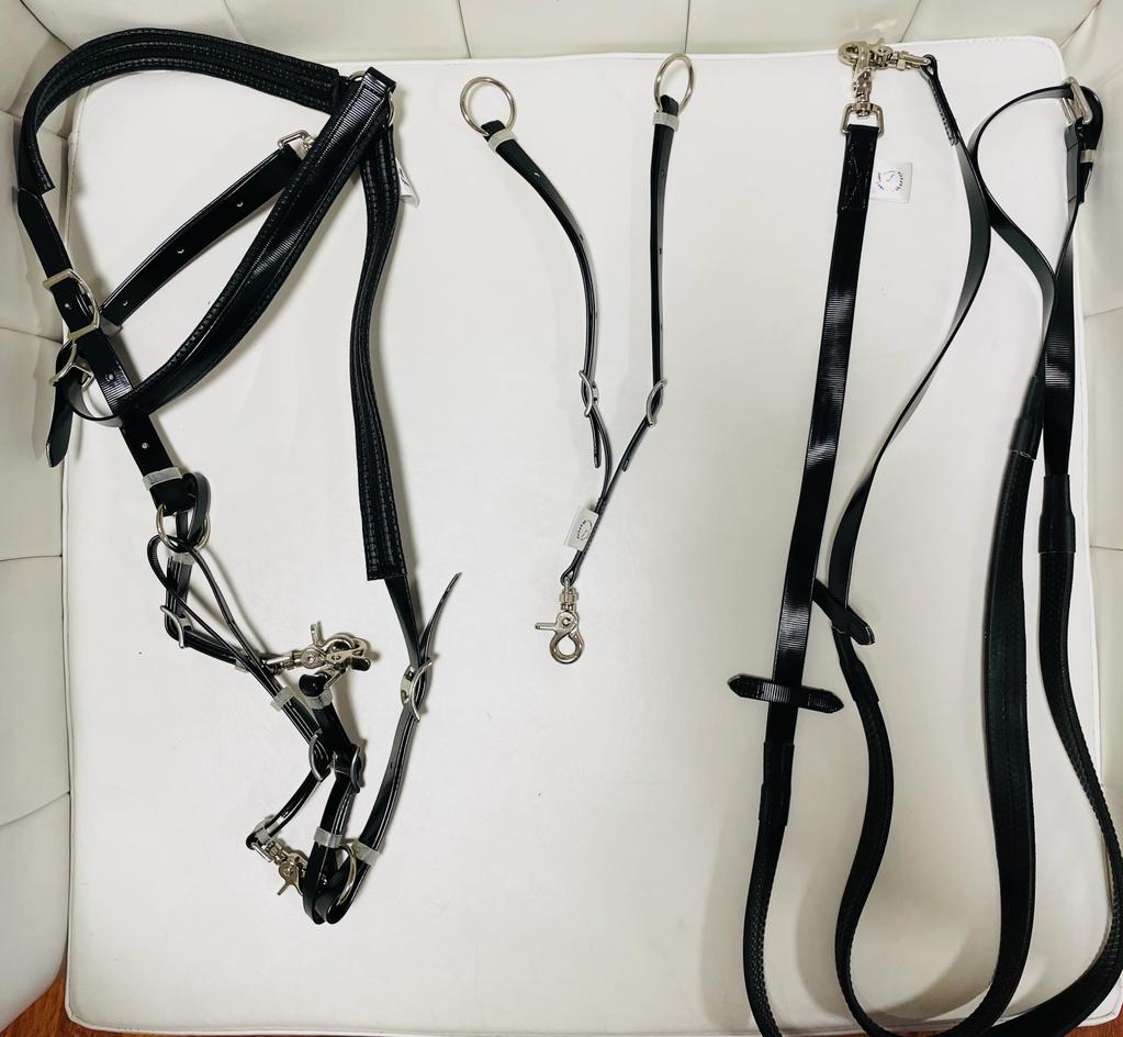 Set : Bridle + Reins + martingale