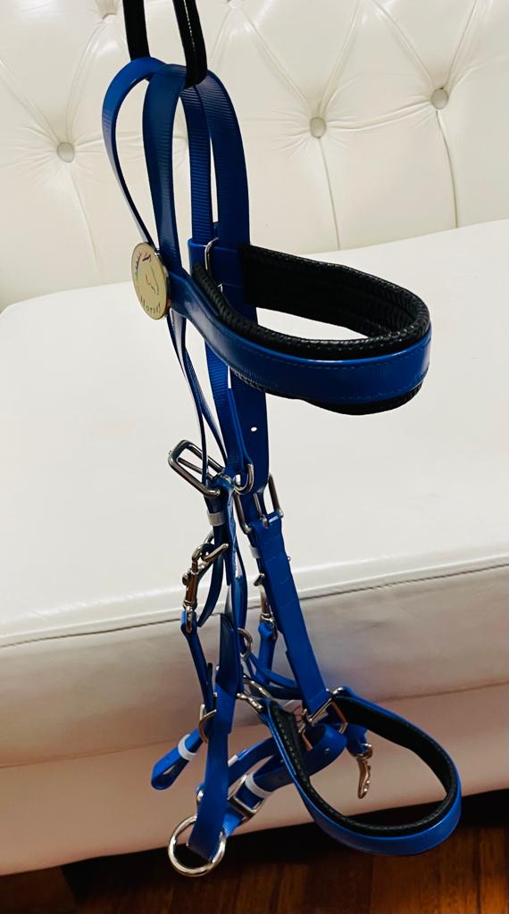 Pony Bridle