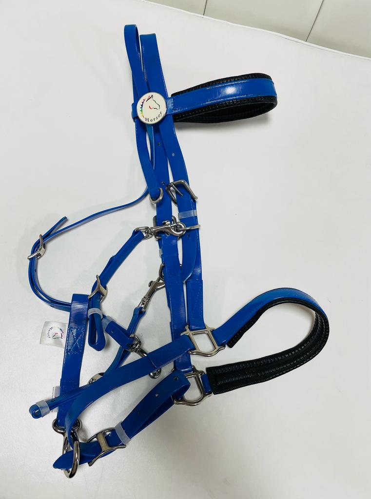 Pony Bridle