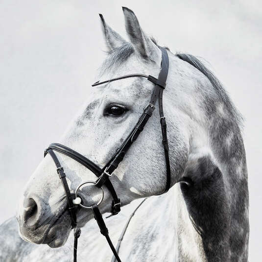 Leather Bridle