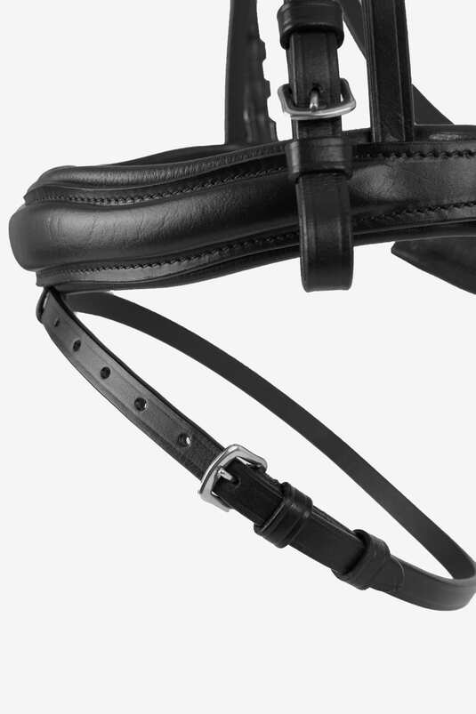 Anatomic leather bridle