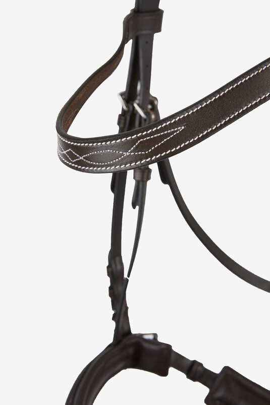 Anatomic leather bridle