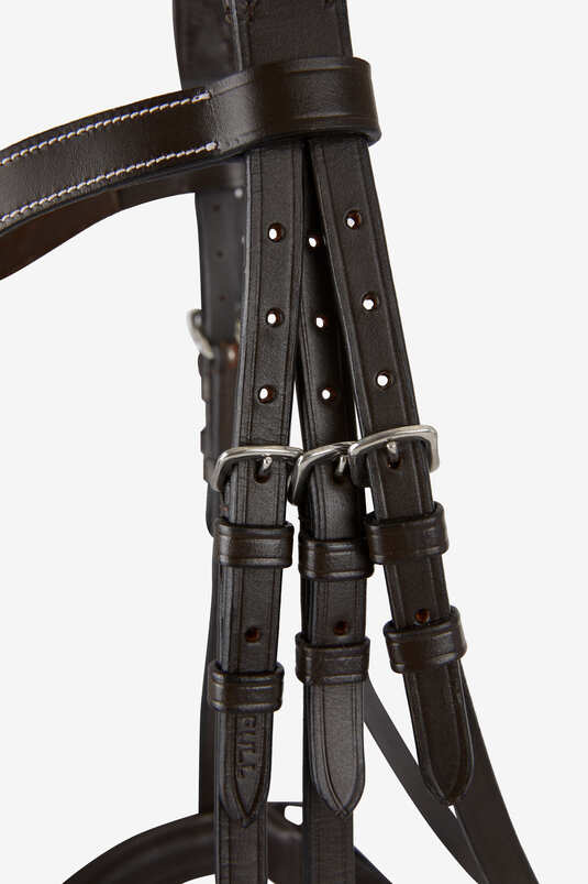 Anatomic leather bridle