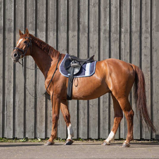 Equestrian Lifestyle Saddle Pad